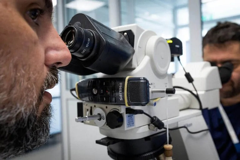 230902_GOC_Histopathology_2310-768x512