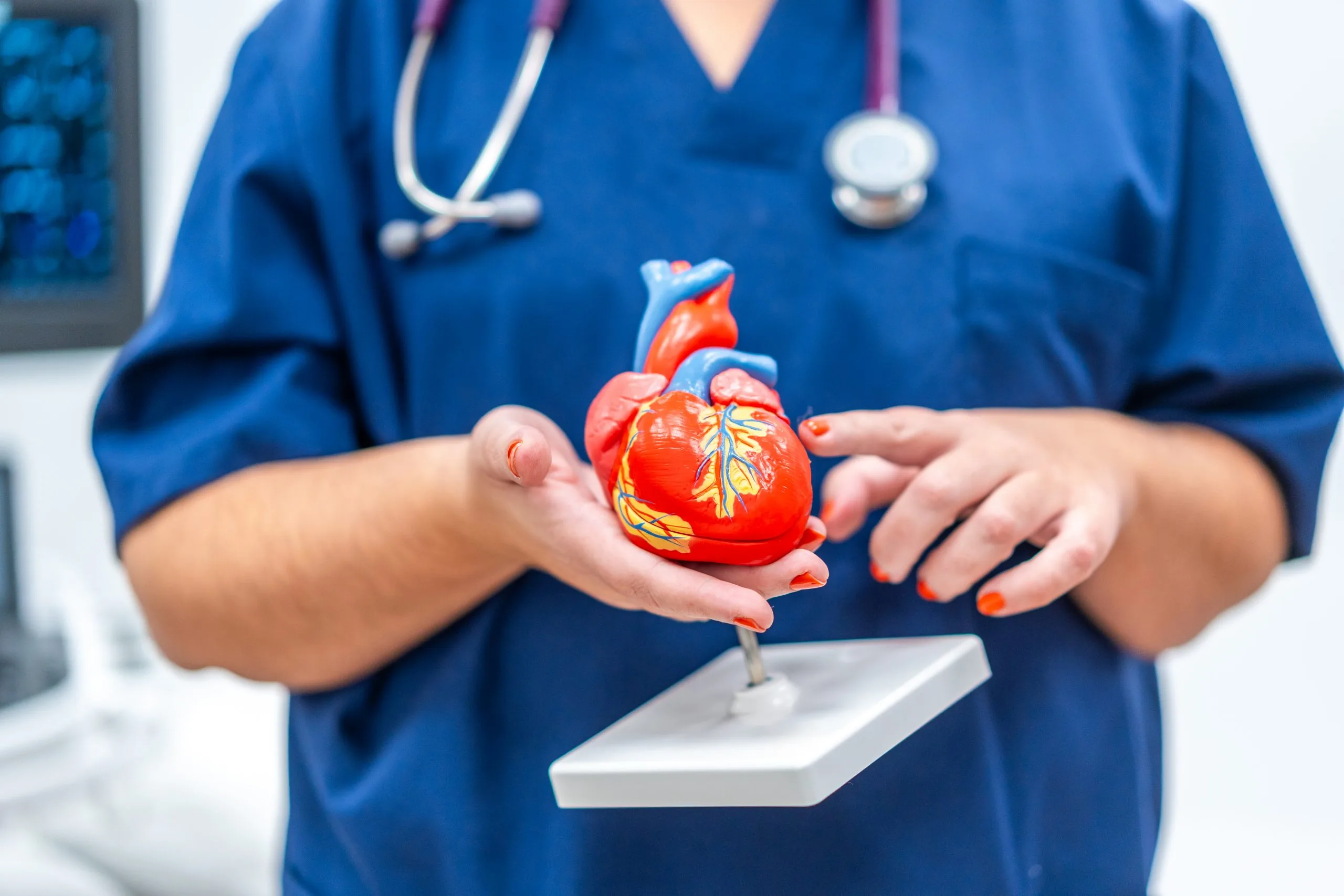 cardiologist-holding-a-plastic-heart-shape-model-2023-11-27-05-15-17-utc-scaled.jpg